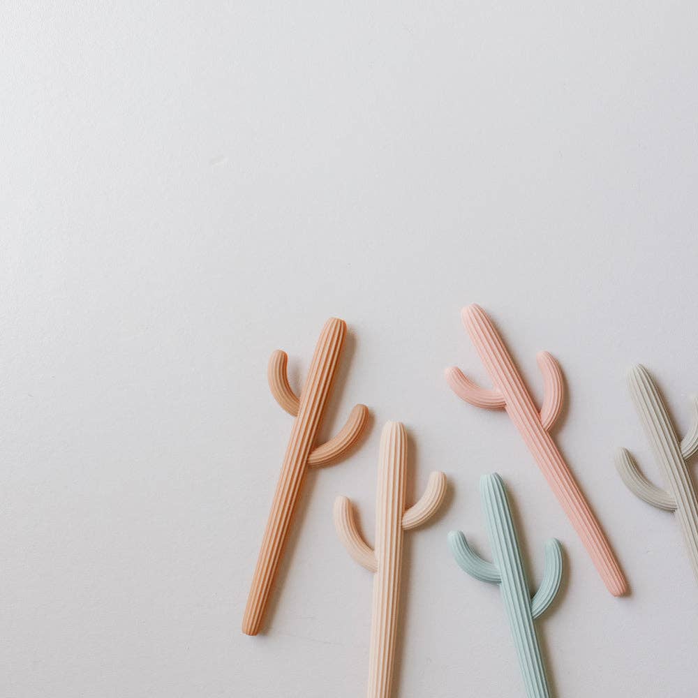 Terracotta Cactus Teether