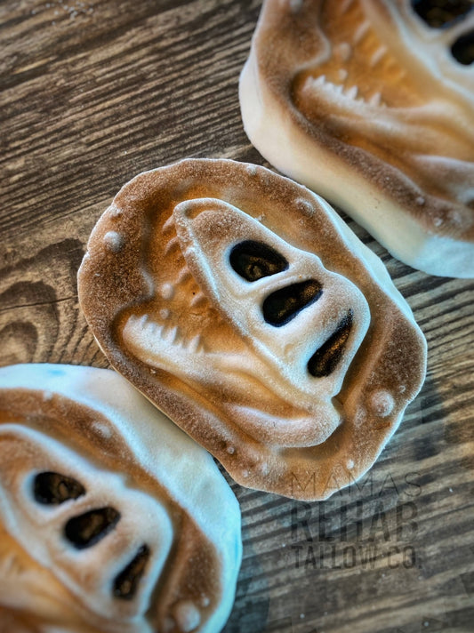 Dinosaur Fossil Bath Bomb