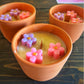 10oz Pink Watermelon Lemonade Terra Cotta Soy Candle