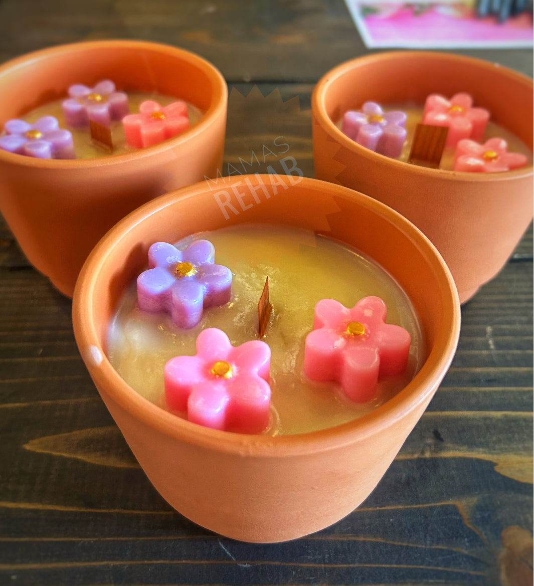 10oz Pink Watermelon Lemonade Terra Cotta Soy Candle