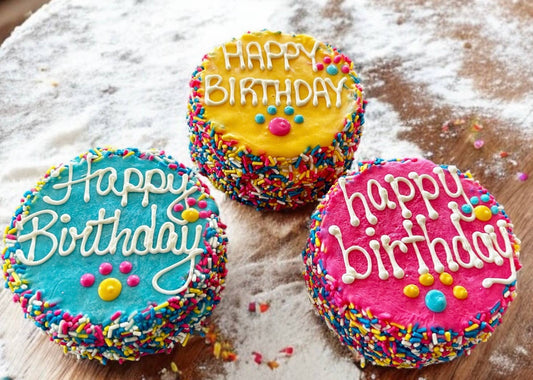 Colorful FIESTA Sprinkle Doggie Cake Lets Pawty