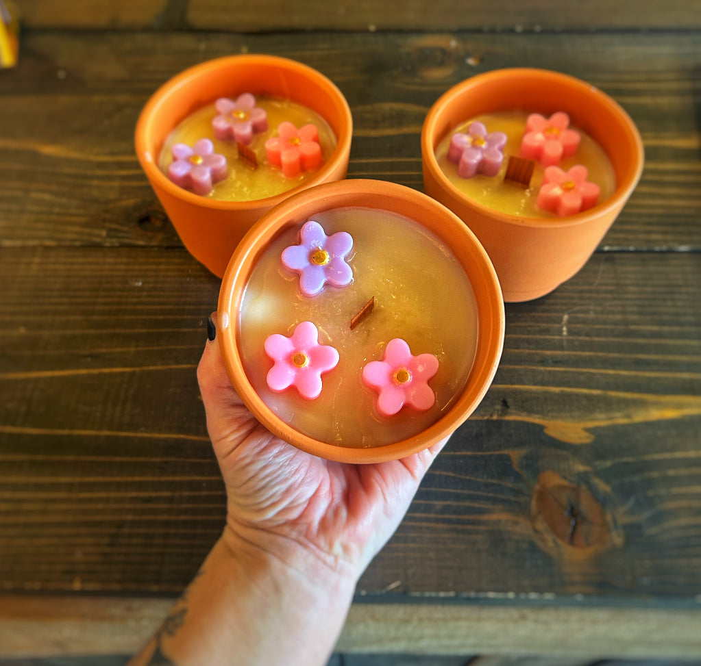 10oz Pink Watermelon Lemonade Terra Cotta Soy Candle