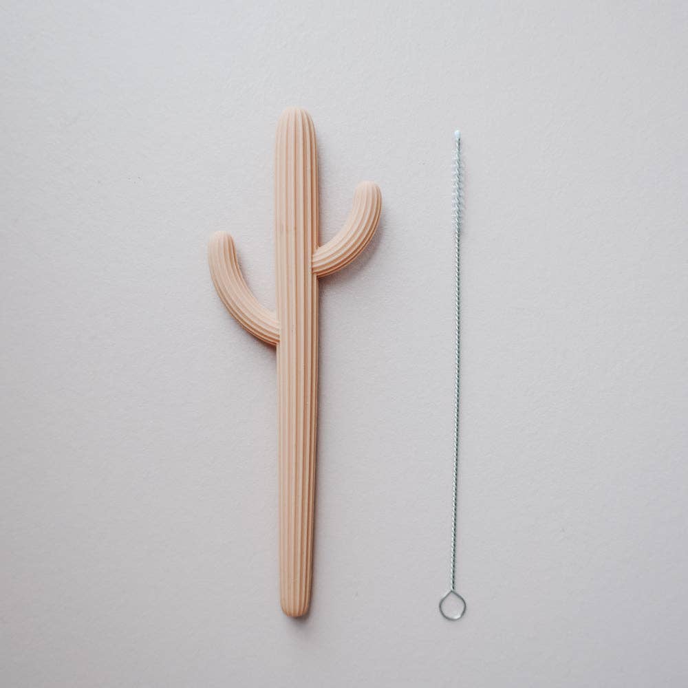 Terracotta Cactus Teether