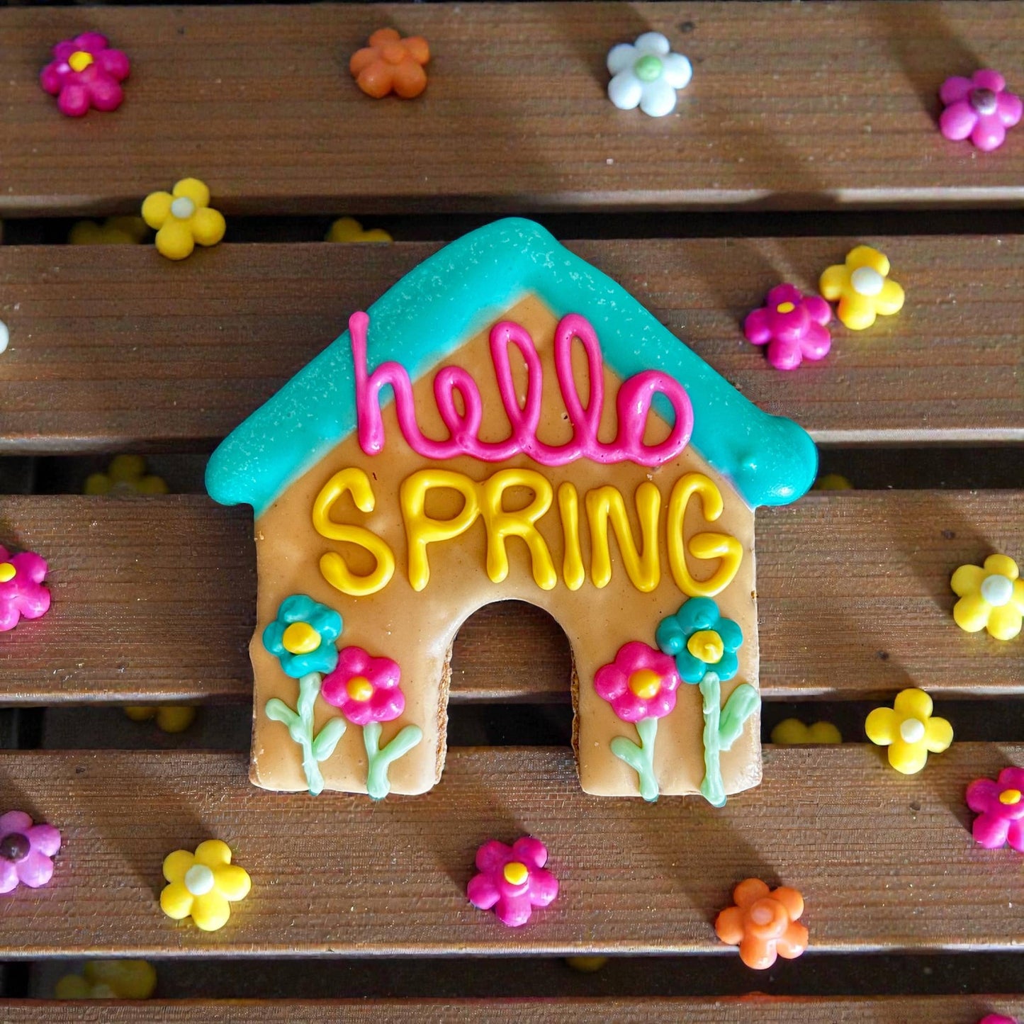 Hello Spring Dog House Treat