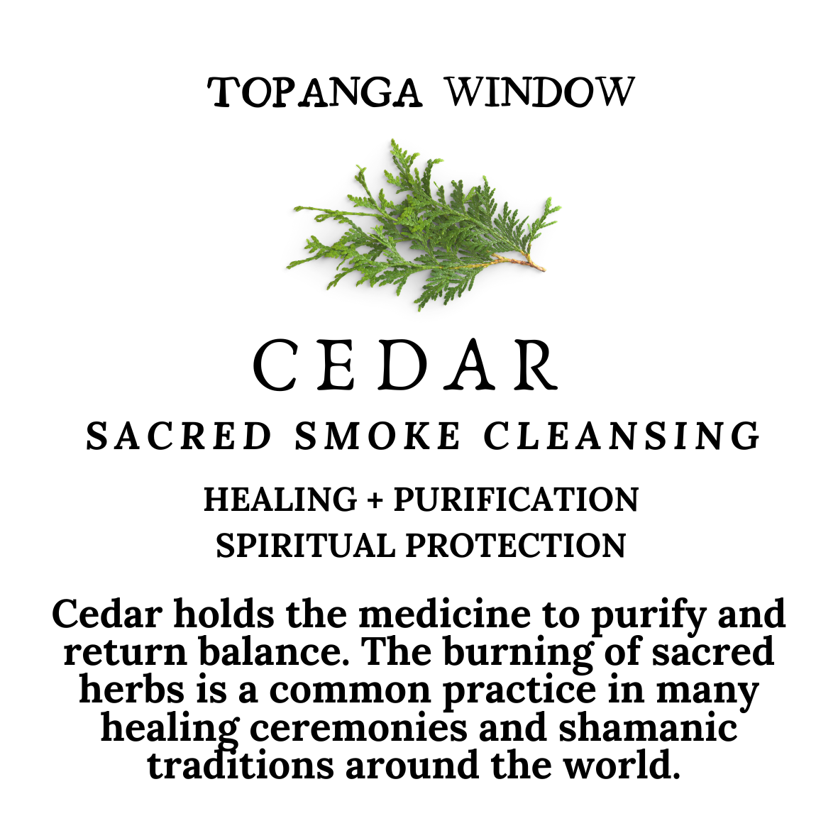 CEDAR SMOKE CLEANSING STICK + Rosemary, Thyme + Cinnamon