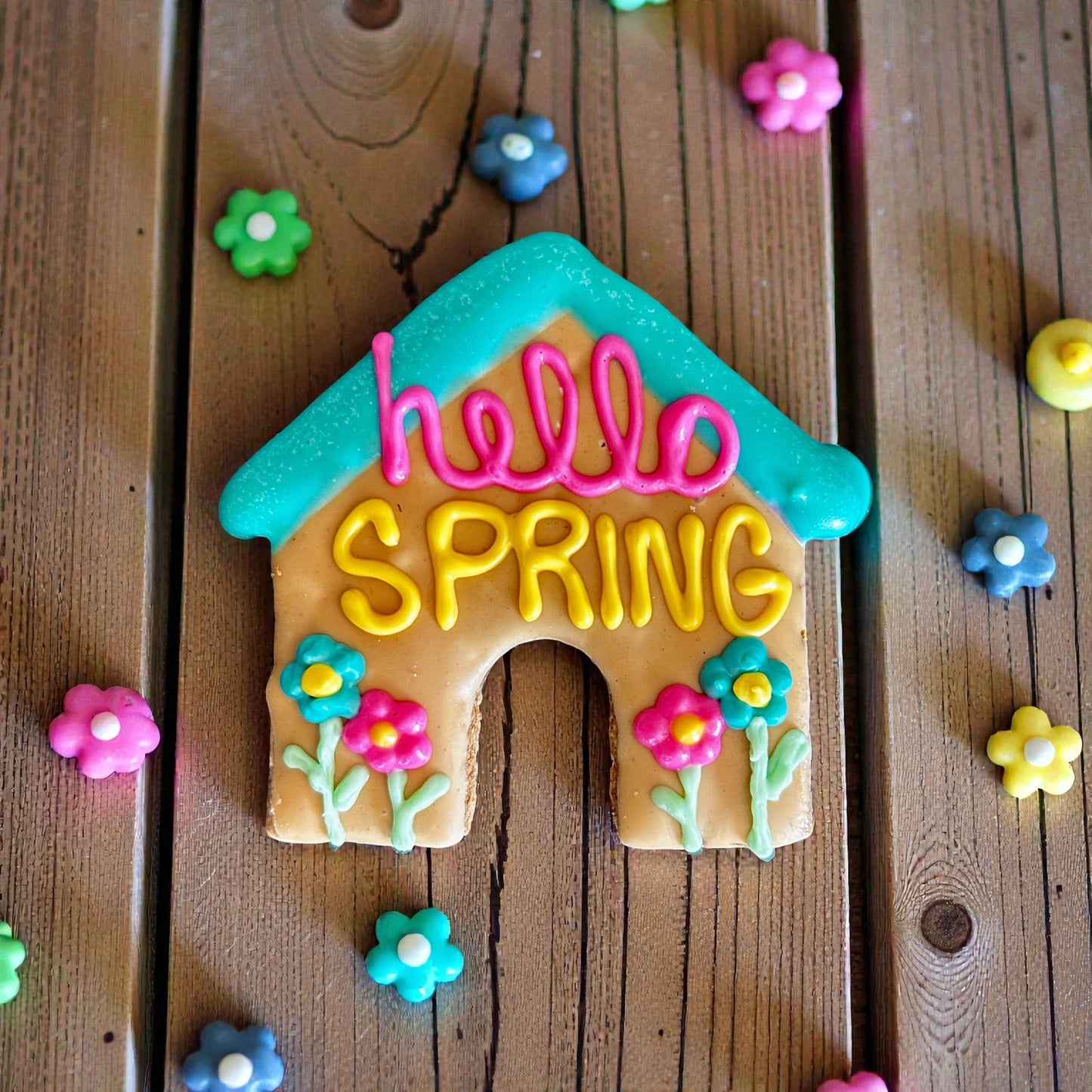 Hello Spring Dog House Treat