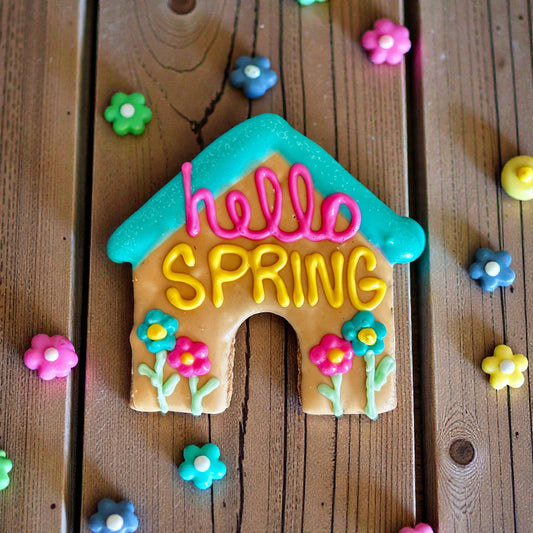 Hello Spring Dog House Treat