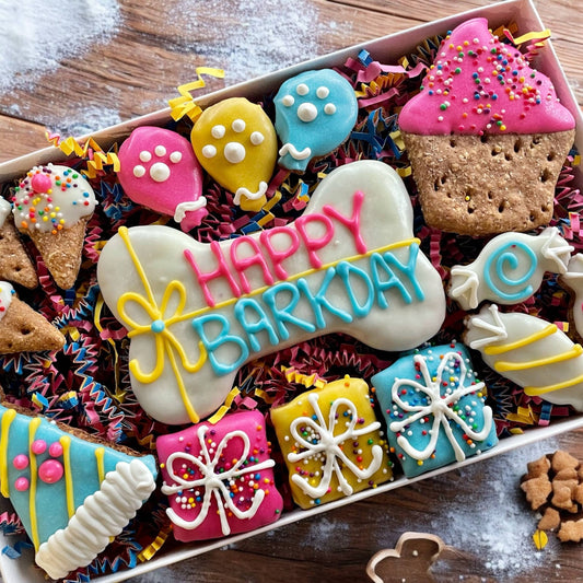 GIFT BOX Happy BARKDAY Gift Dog Treat